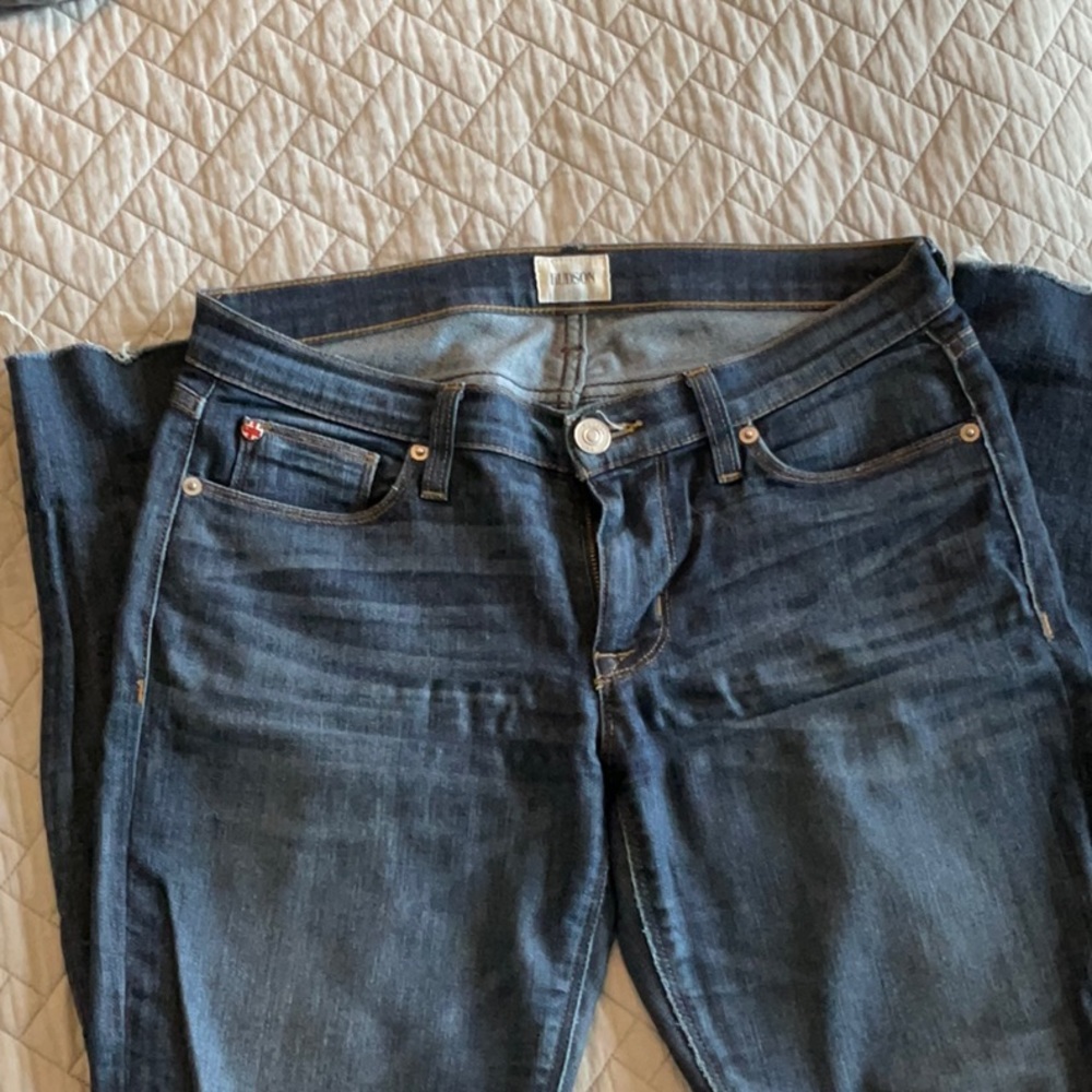 Hudson Jeans- skinny